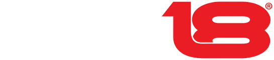 DS18