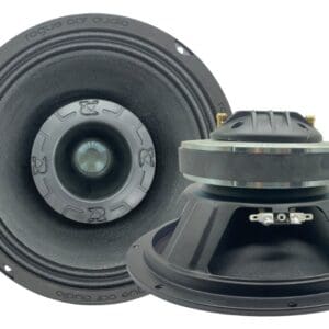 Rogue RPS10 Coaxial Speaker