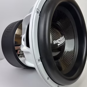 Resilient Sounds Platinum 15 inch V2 2500RMS Subwoofer