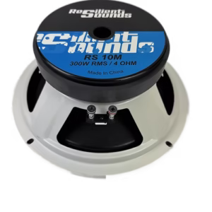 Resilient Sounds 10M 300w RMS 4ohm 10 inch speaker