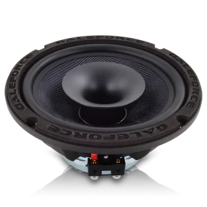 Galeforce f-3 8 inch speaker