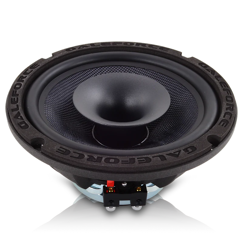 Galeforce f-3 8 inch speaker
