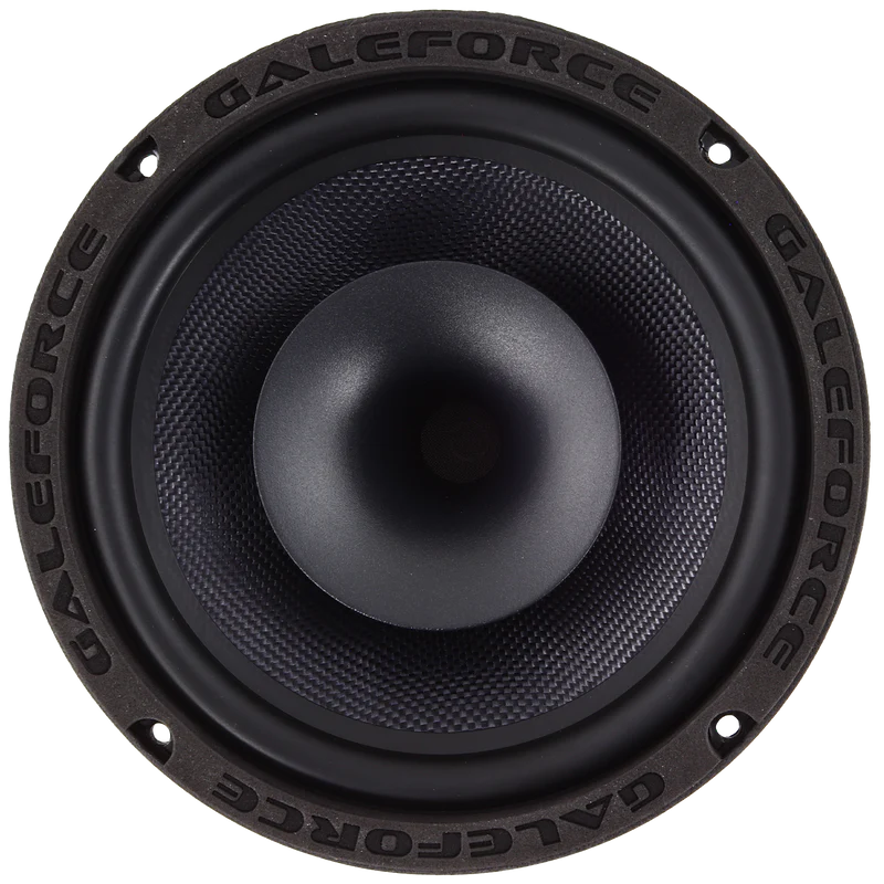 Galeforce f-3 8 inch speaker - Image 4