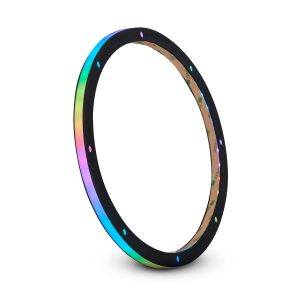 DS18 DLRING10 10" Digital LED Ring for Loudspeakers and Speakers