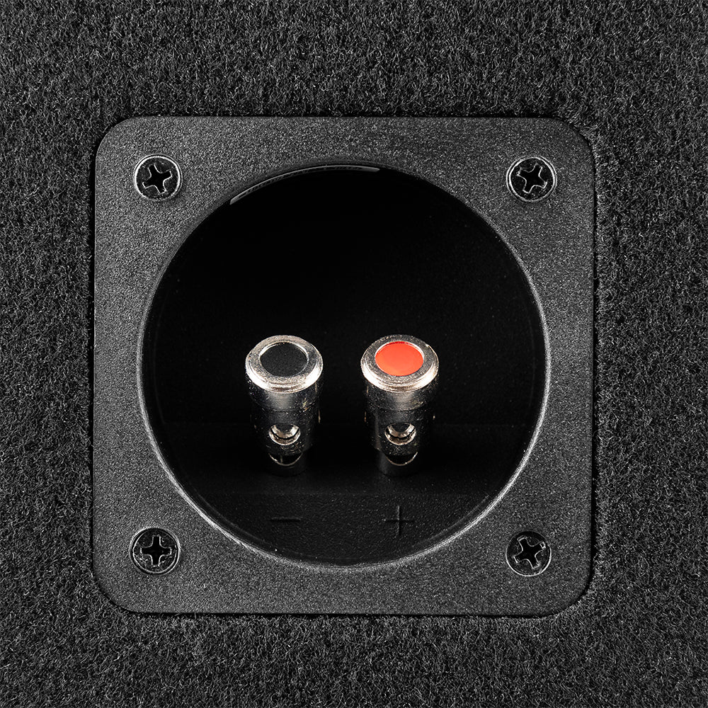 DS18 GEN-X210LD Dual 10" Loaded Subwoofer Ported Enclosure With GEN-X104D 800 Watts RMS