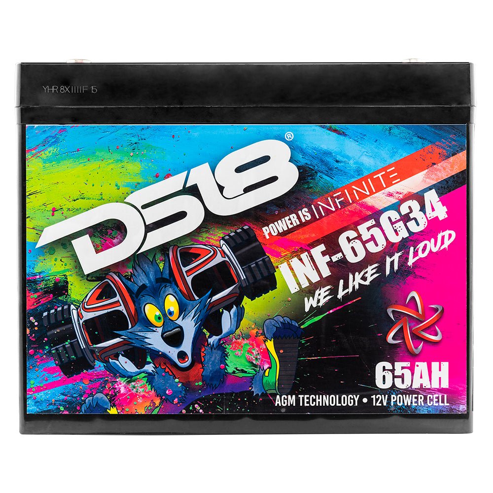 DS18 INF-65G34 INFINITE 65 AH AGM Group 34 Power Cell 12 Volt Battery