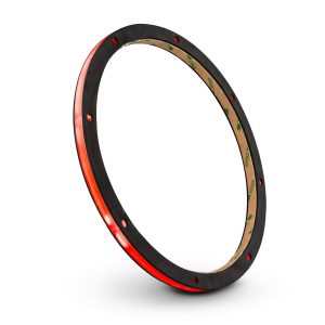 DS18 LRING10 10" RGB LED Ring for Loudspeakers and Speakers
