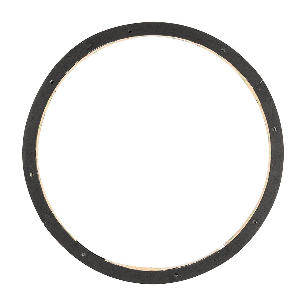 DS18 LRING12 12" RGB LED Ring for Loudspeakers, Speakers and Subwoofers.