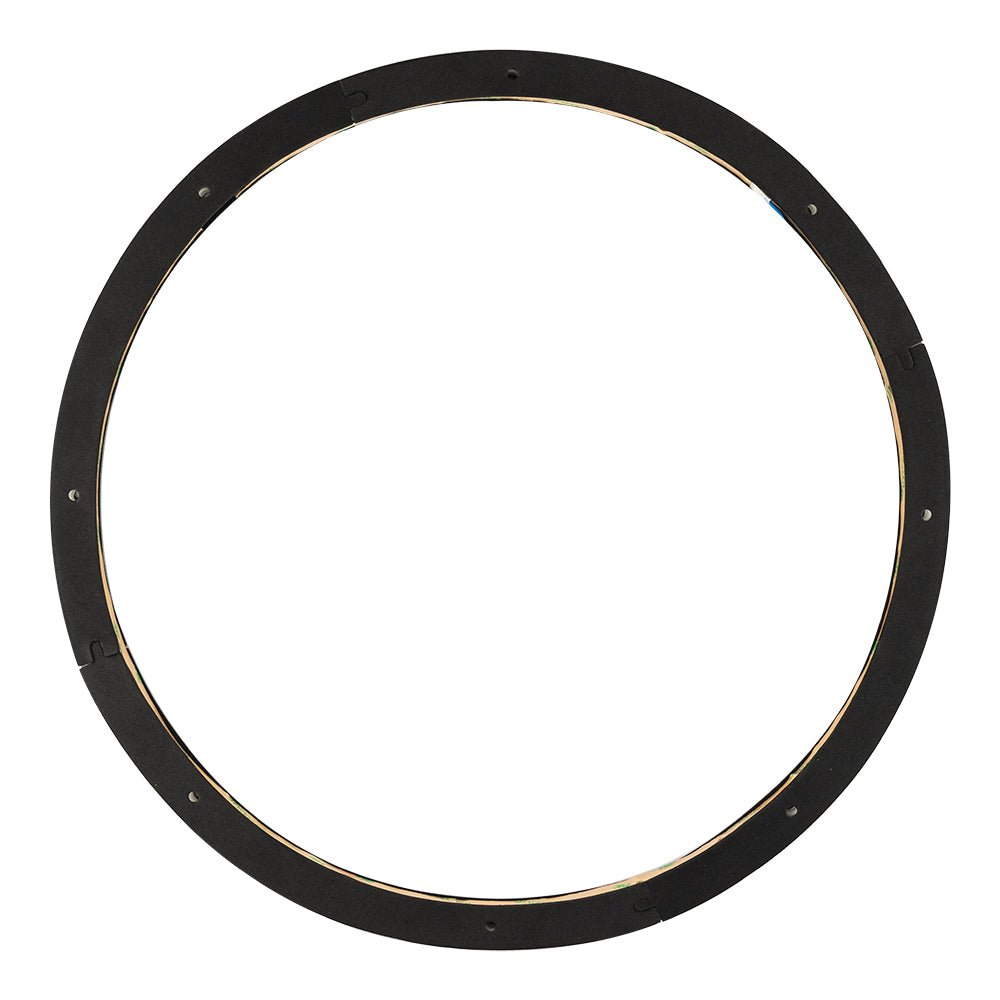 DS18 LRING15 15" RGB LED Ring for Loudspeakers, Speakers and Subwoofers