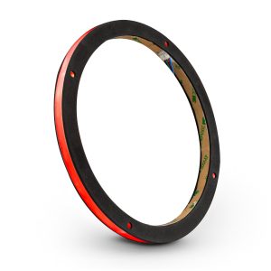 DS18 LRING8 8" RGB LED Ring for Loudspeakers and Speakers