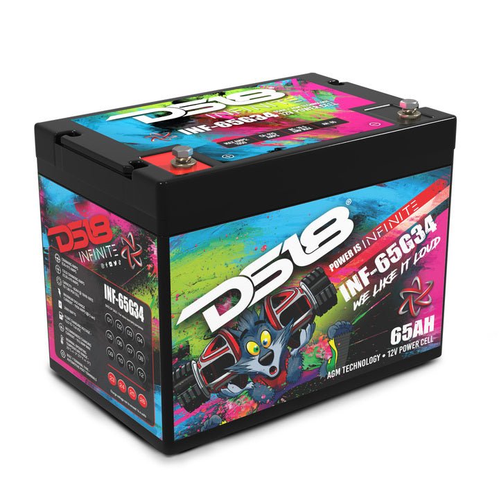DS18 INF-65G34 INFINITE 65 AH AGM Group 34 Power Cell 12 Volt Battery