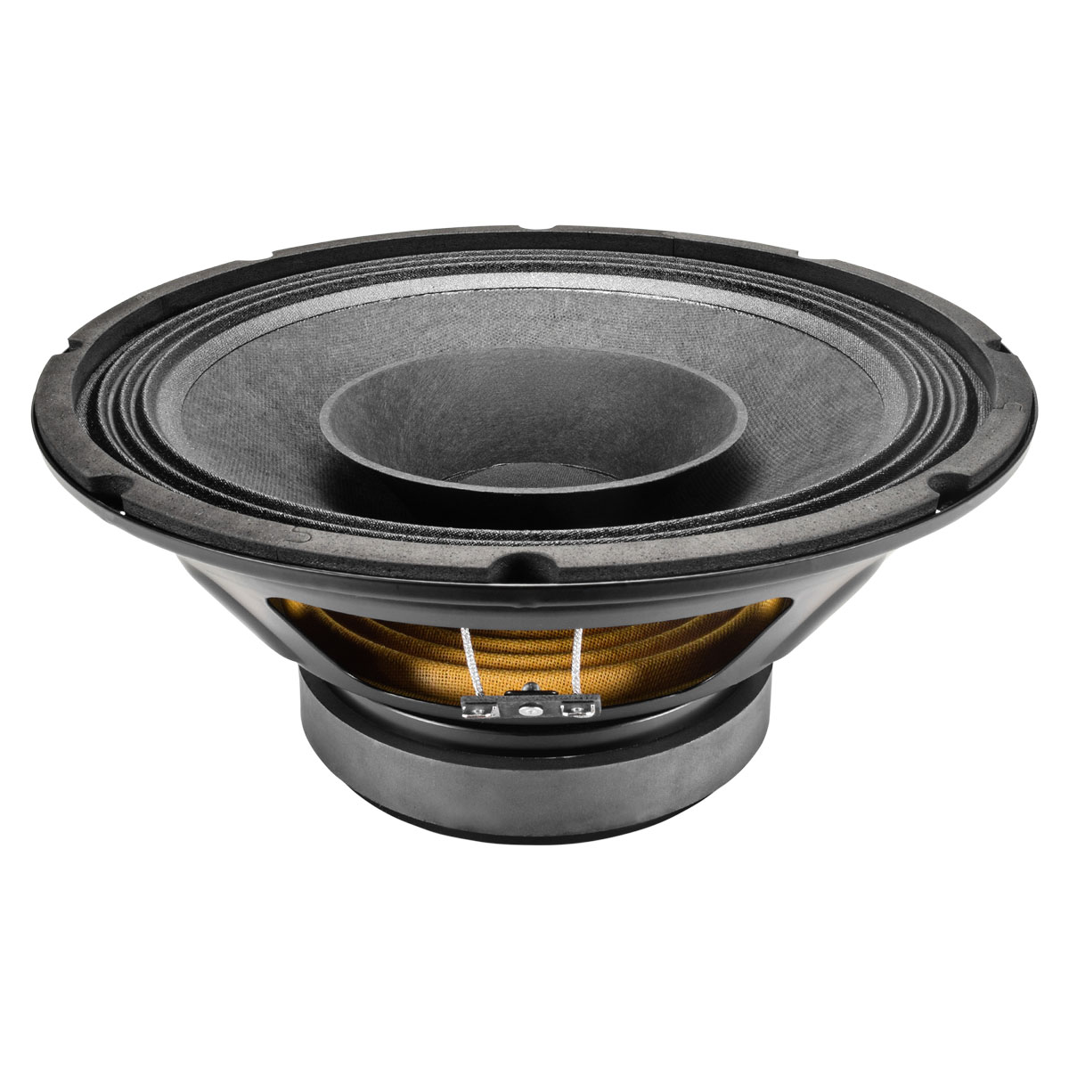 PRV 10 inch 8 Ohm Full Range Speaker PRV-10FR300 - Image 6