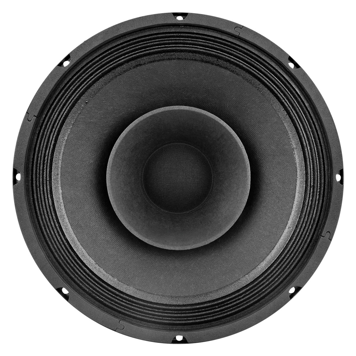 PRV 10 inch 8 Ohm Full Range Speaker PRV-10FR300 - Image 5