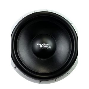 Resilient Sounds GOLD 18 inch V2 1500RMS Subwoofer