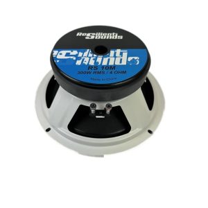 Resilient Sounds 10M 300w RMS 4ohm 10 inch speaker