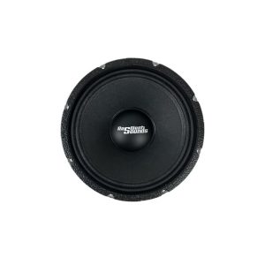 Resilient Sounds NEO 10 500w RMS 4ohm 10 inch speaker