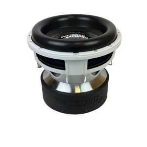 Resilient Sounds Platinum 12 inch V2 2500RMS Subwoofer
