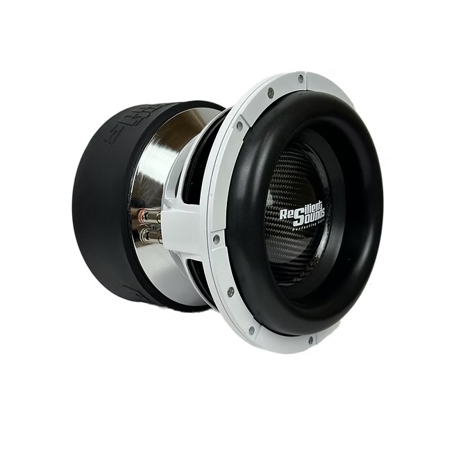 Resilient Sounds Platinum 10 inch V2 2500RMS Subwoofer