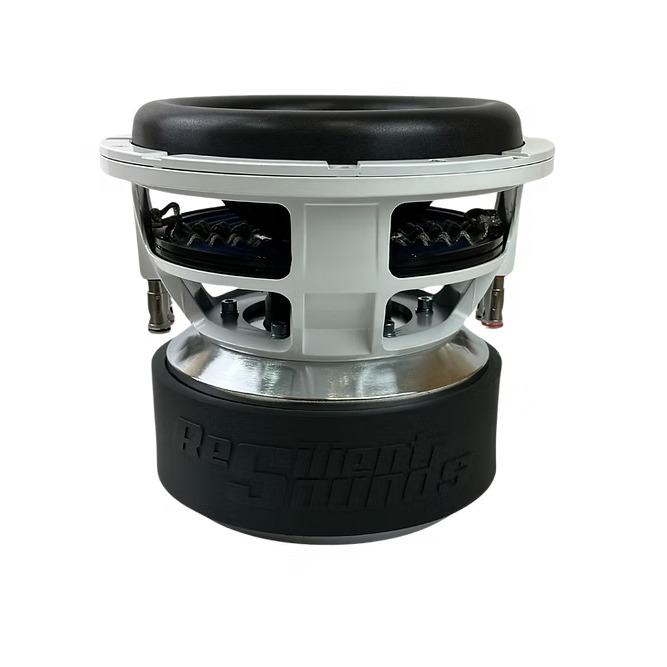 Resilient Sounds GOLD 10 inch V2 1500RMS Subwoofer