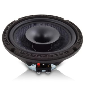 Galeforce f-3 8 inch speaker