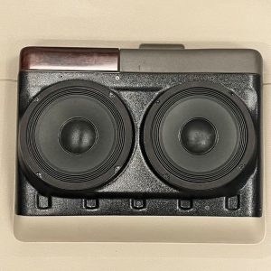 Dual 8" Rear Door Speaker Pods – 2008–2016 Ford F-250 & F-350 – Crew Cab